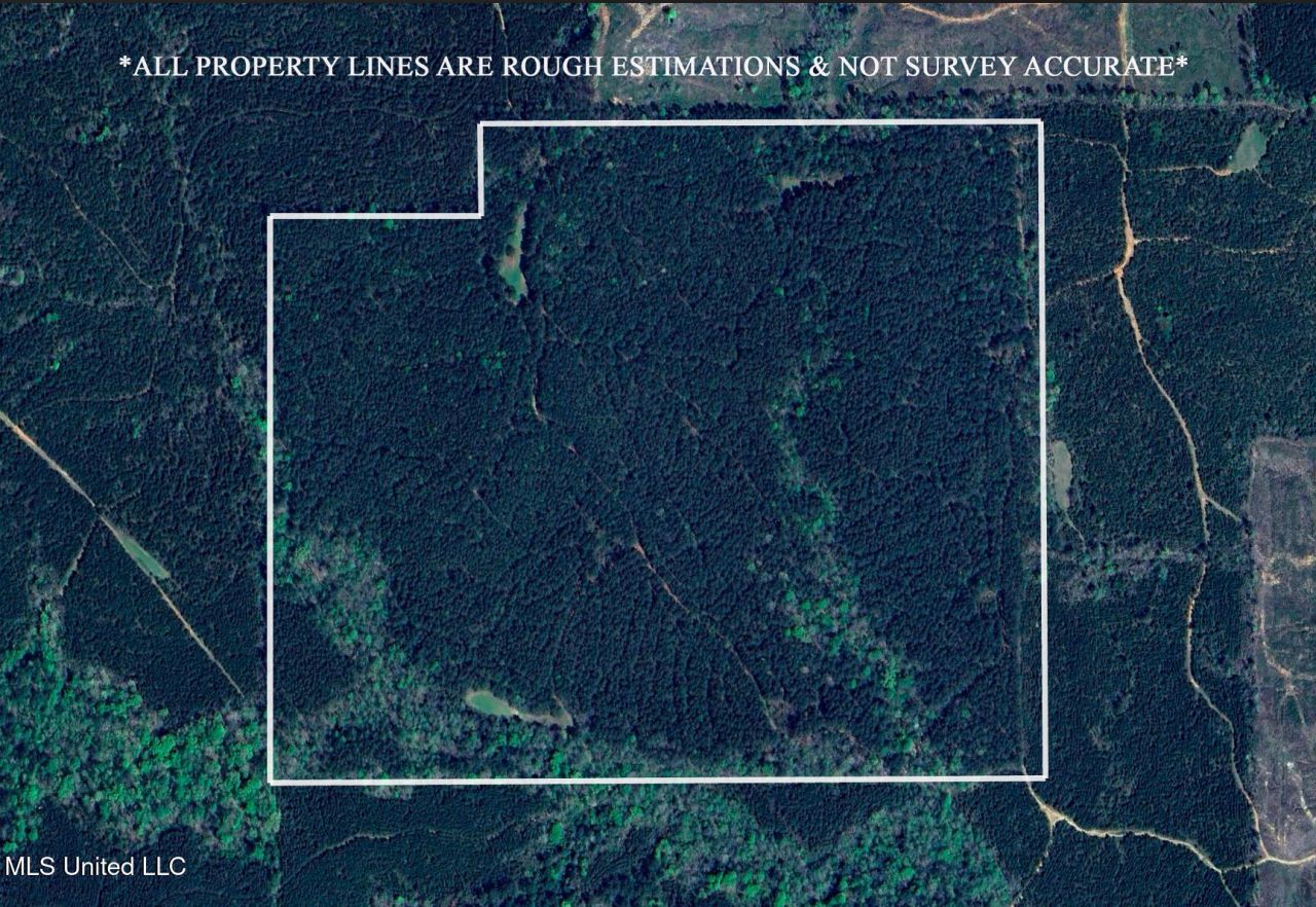 000 Liberty Church Road, Meridian, MS 39301 Main Photo