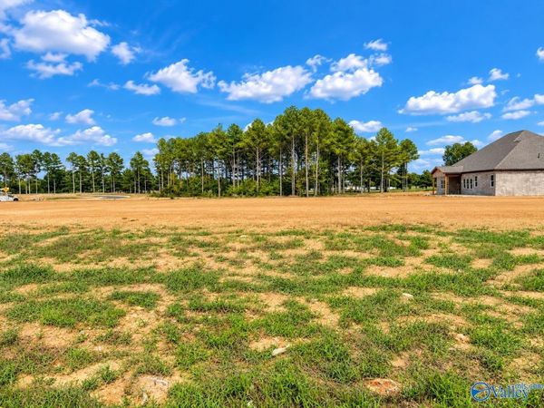 12345 Spyglass Lane, Athens, AL 35613