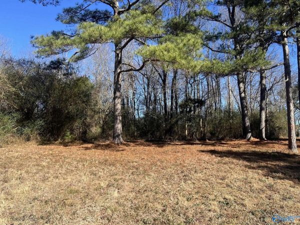 001 A County Road 1375, Falkville, AL 35622