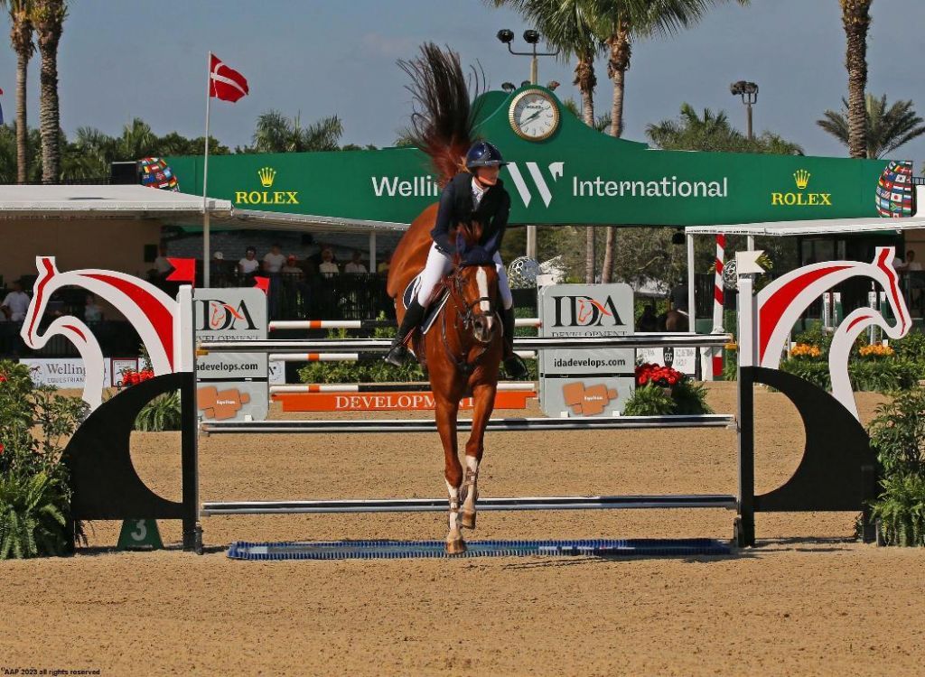 14564 Rolling Rock Place, Wellington, FL 33414 Photo