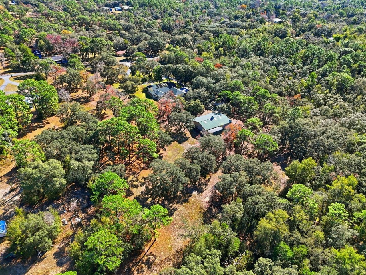 340 N Hedrick Avenue, Lecanto, FL 34461 Photo