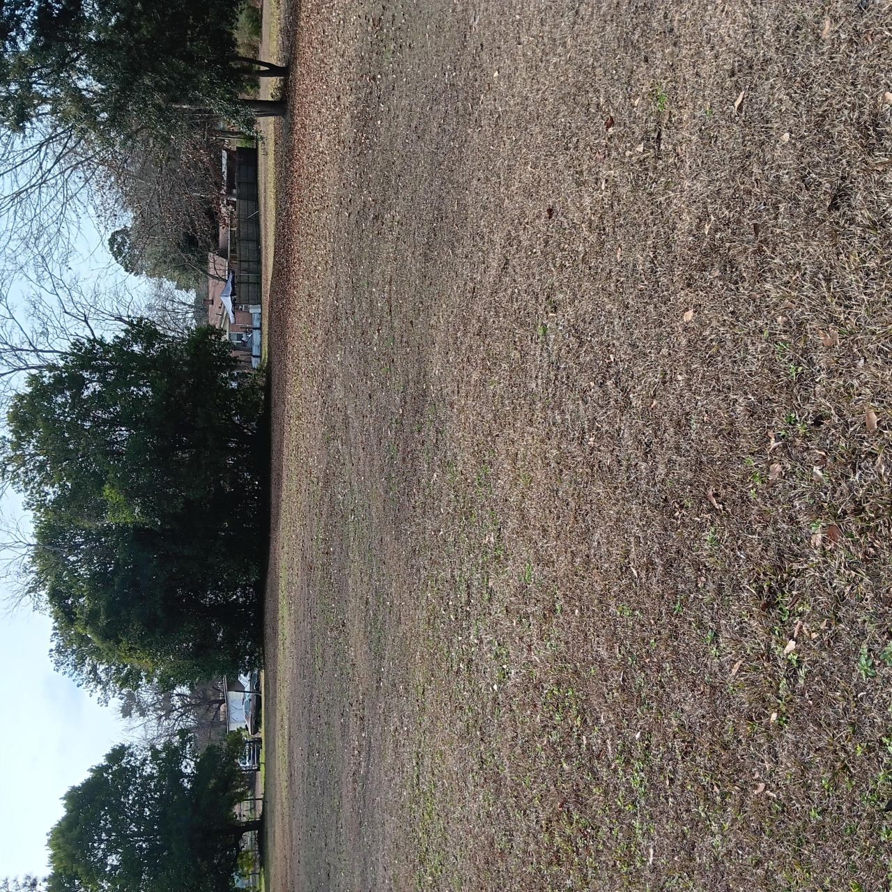 110 Turkey Heights Street Photo 10