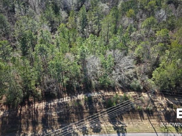 0 Jimmy Faulkner Drive, Spanish Fort, AL 36527