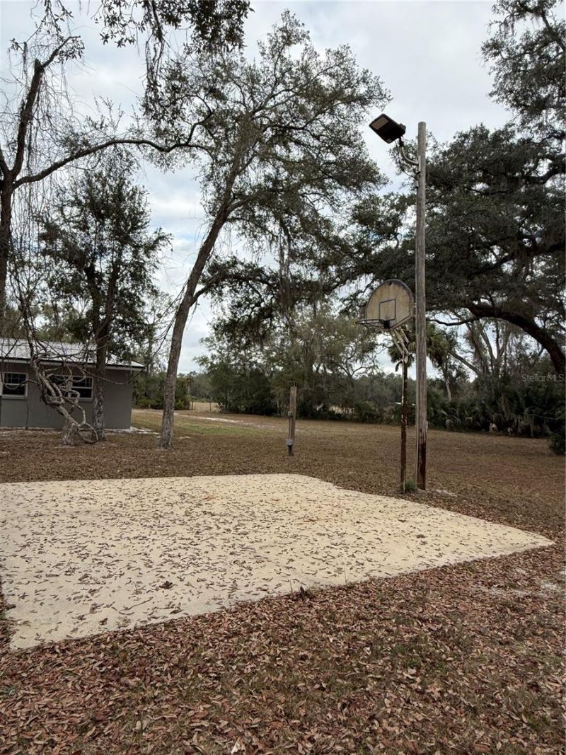 347 NE 544th Street, Old Town, FL 32680 Photo