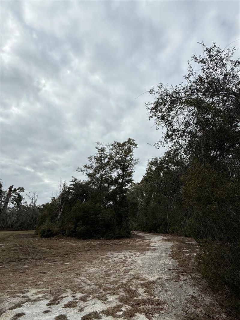 347 NE 544th Street, Old Town, FL 32680 Photo