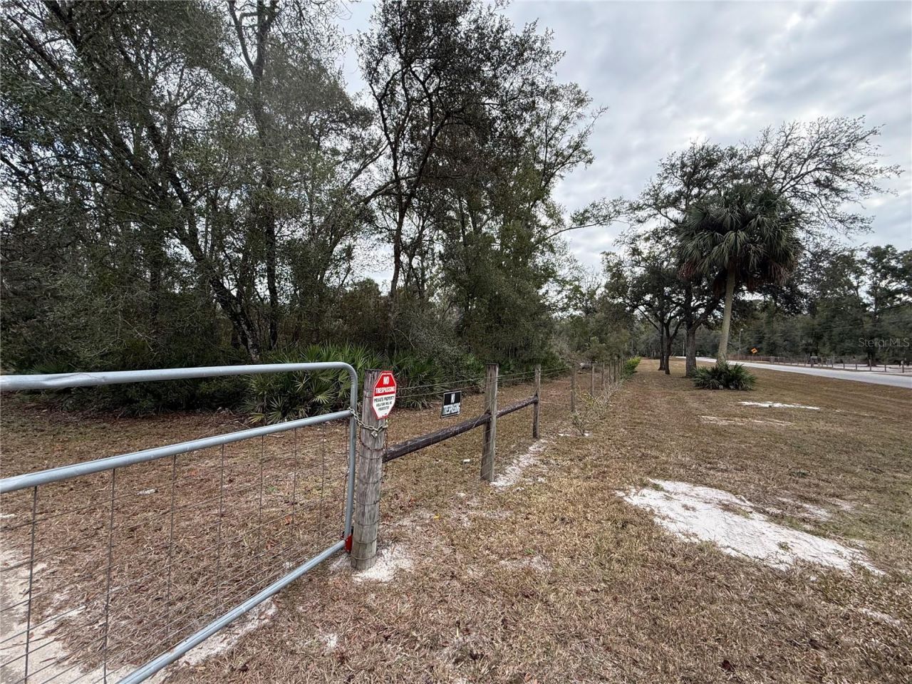 347 NE 544th Street, Old Town, FL 32680 Photo