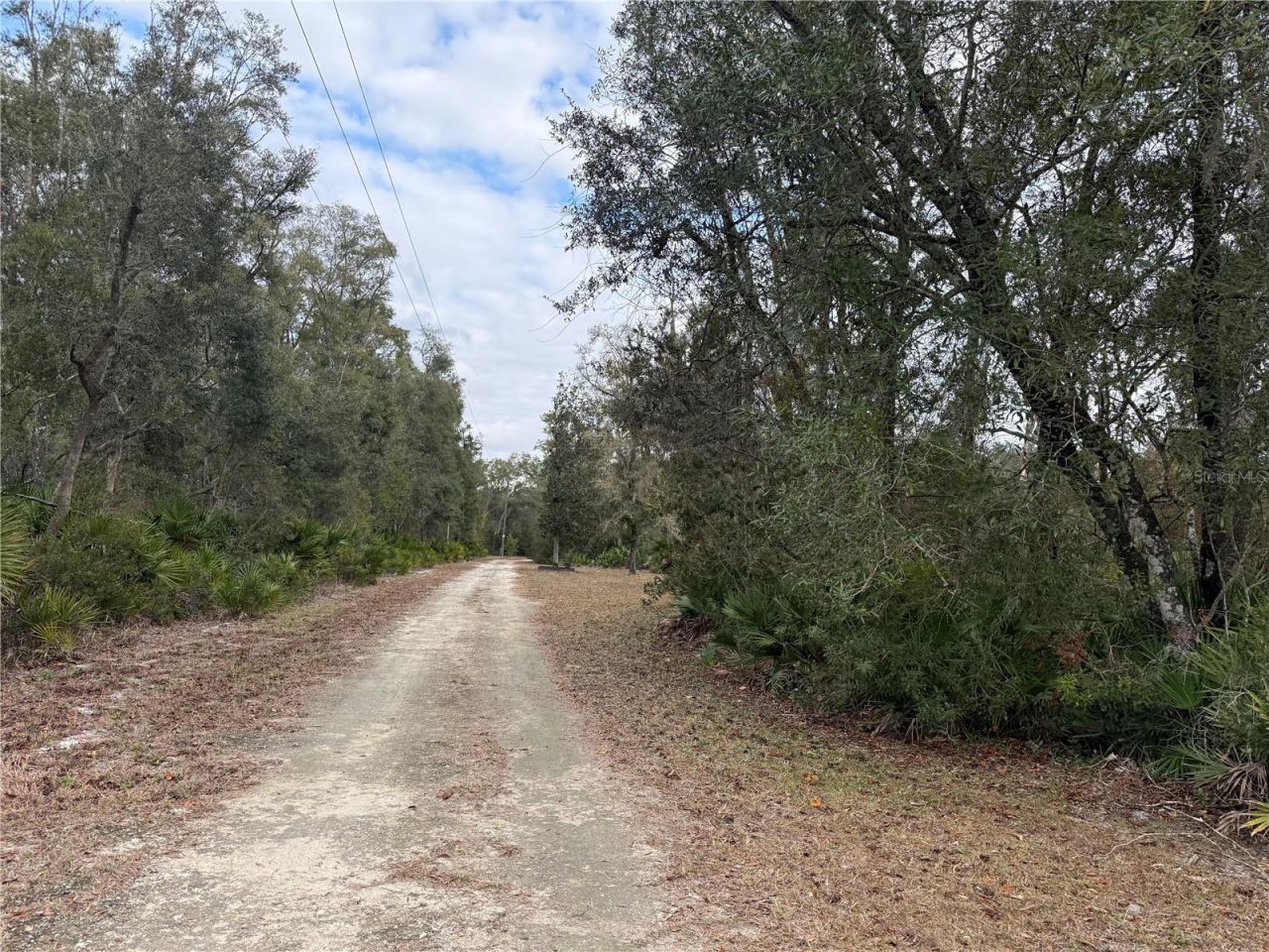 347 NE 544th Street, Old Town, FL 32680 Photo