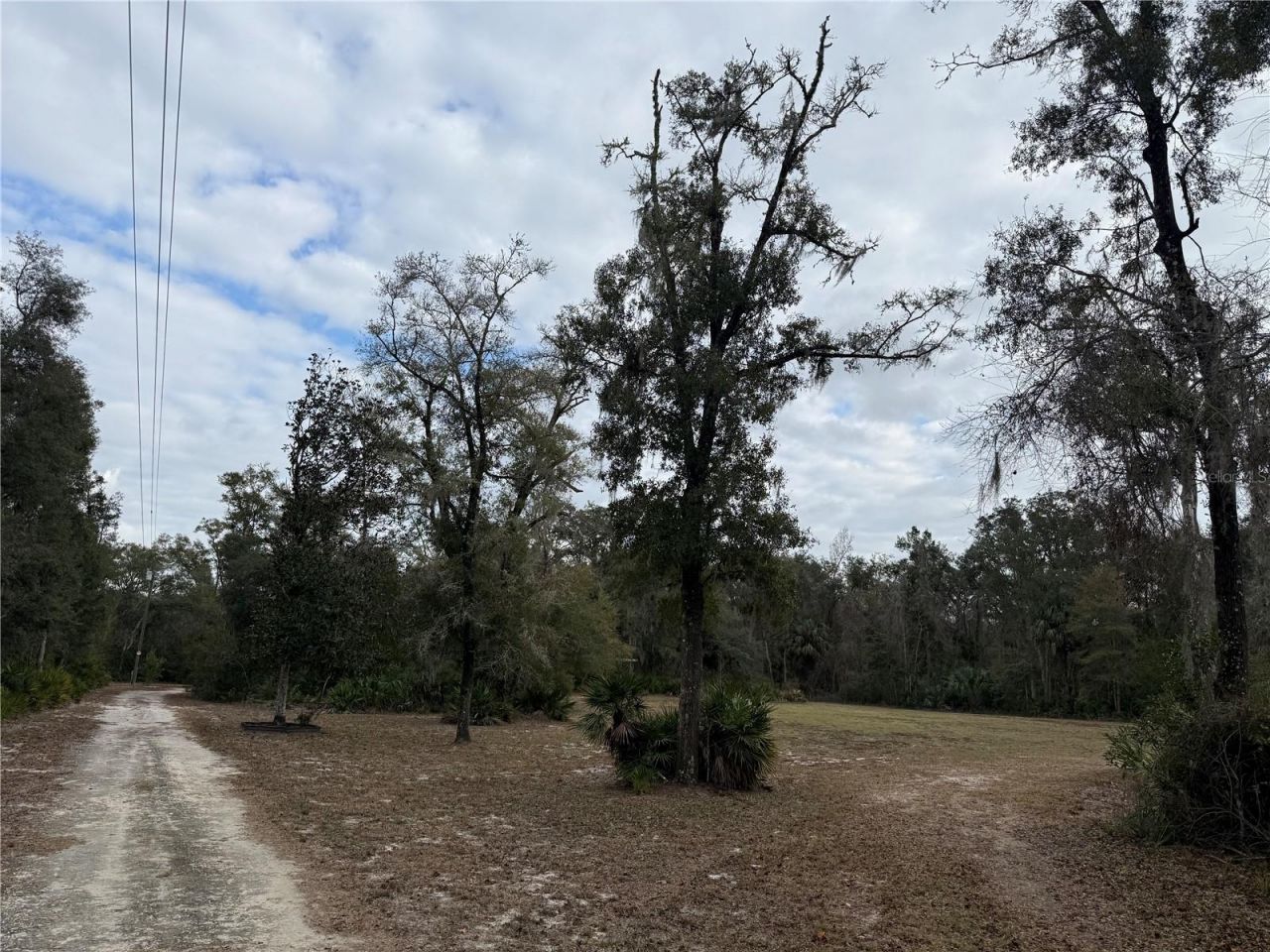 347 NE 544th Street, Old Town, FL 32680 Photo