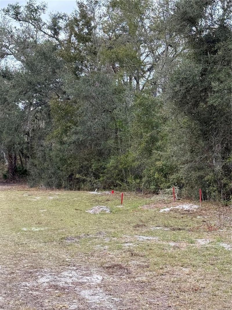 347 NE 544th Street, Old Town, FL 32680 Photo