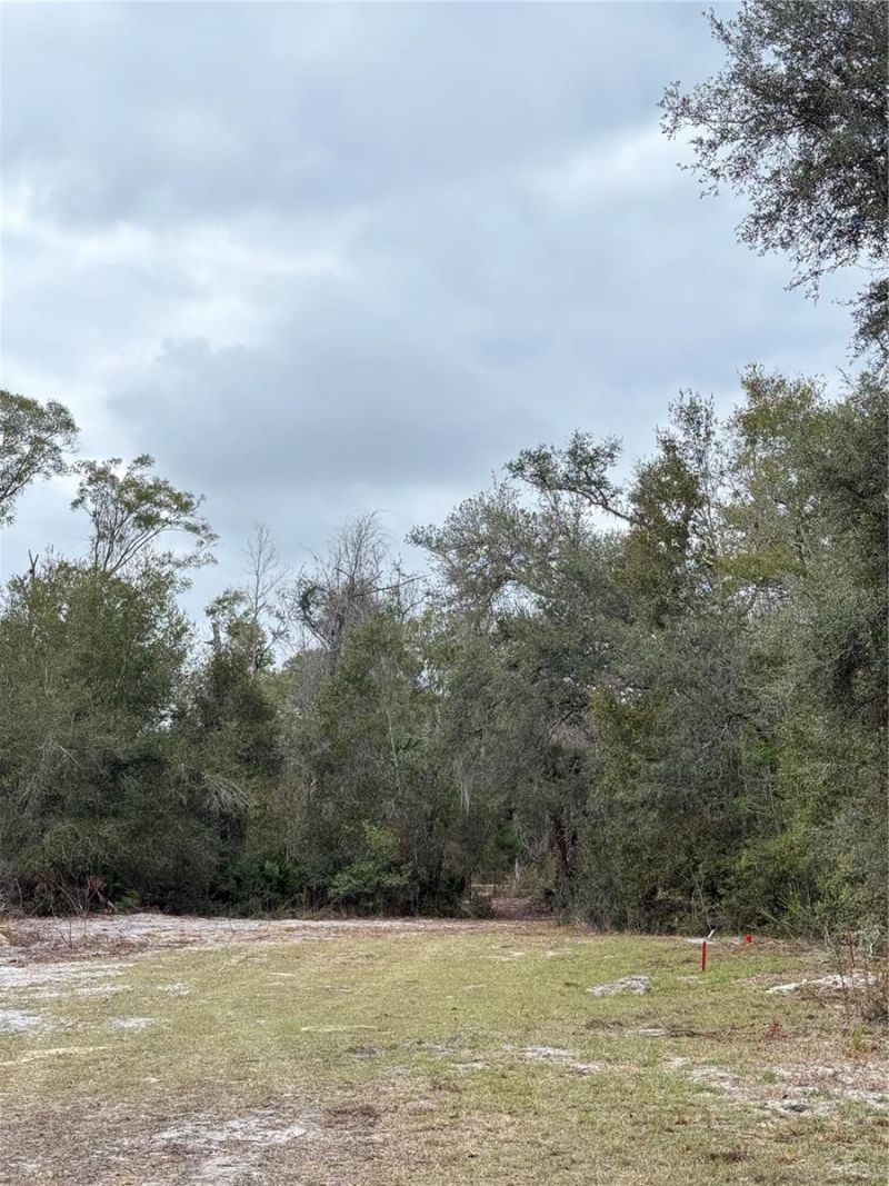 347 NE 544th Street, Old Town, FL 32680 Photo