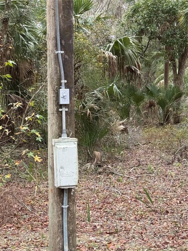 347 NE 544th Street, Old Town, FL 32680 Photo