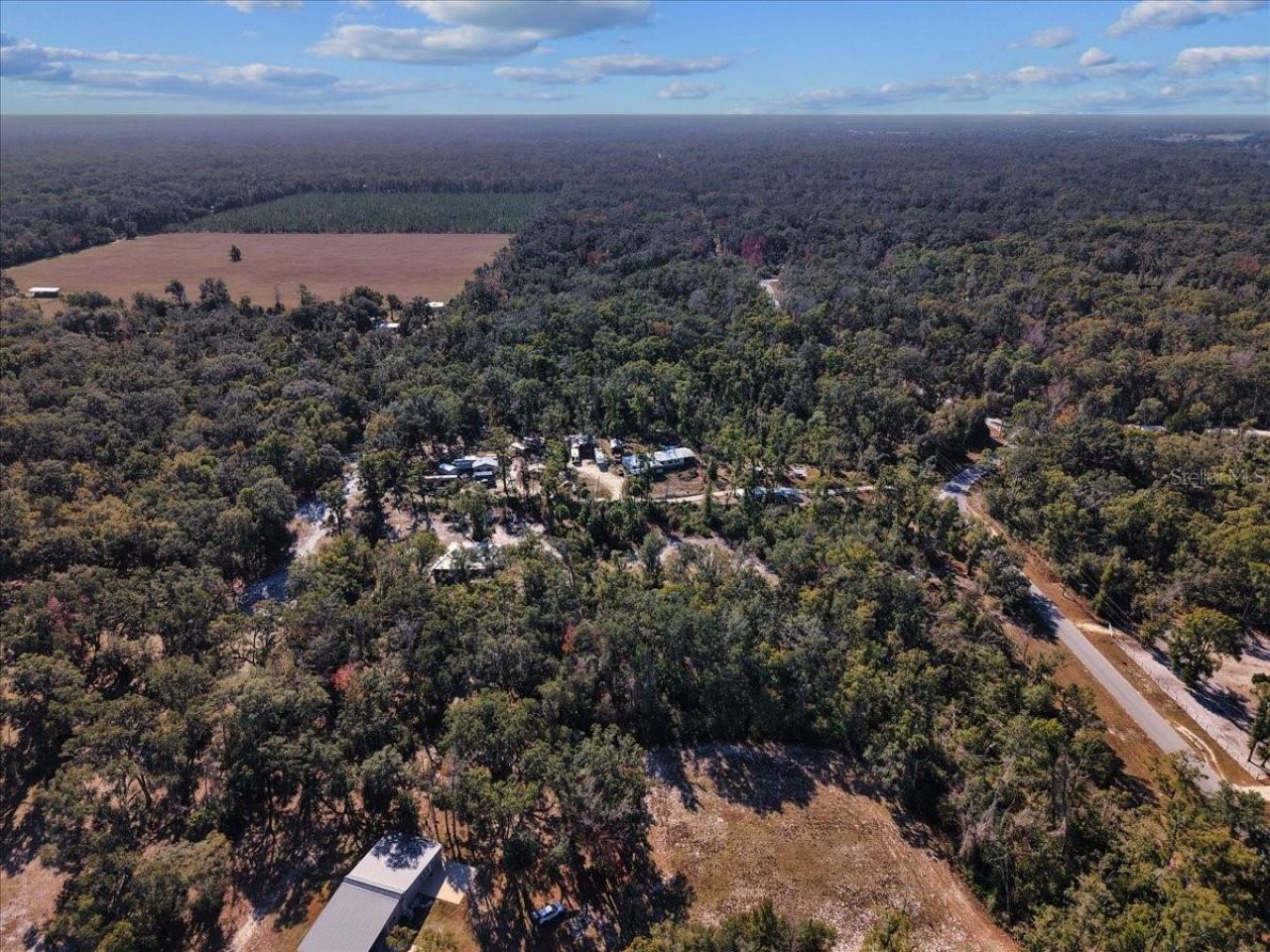 347 NE 544th Street, Old Town, FL 32680 Photo