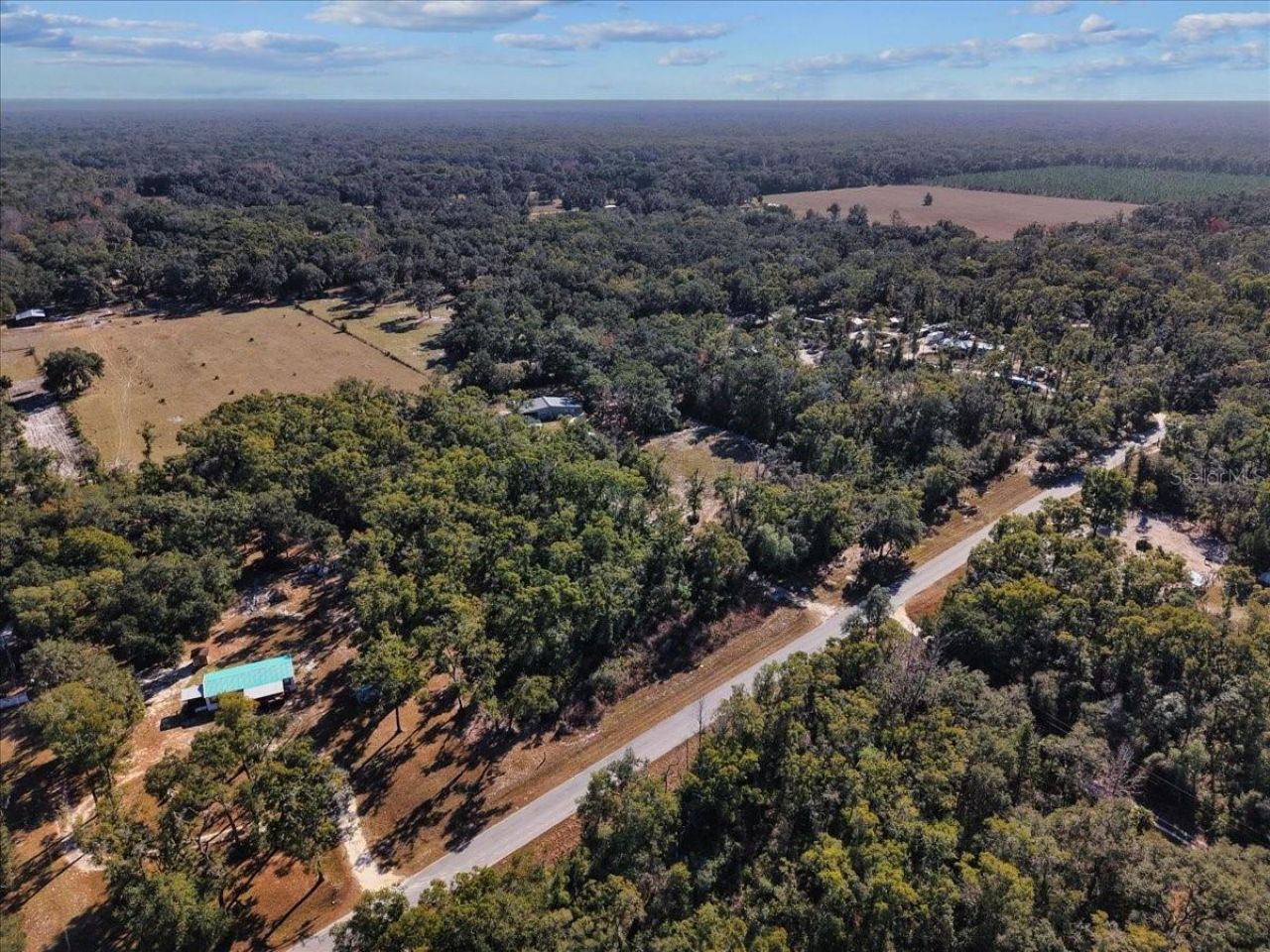 347 NE 544th Street, Old Town, FL 32680 Photo