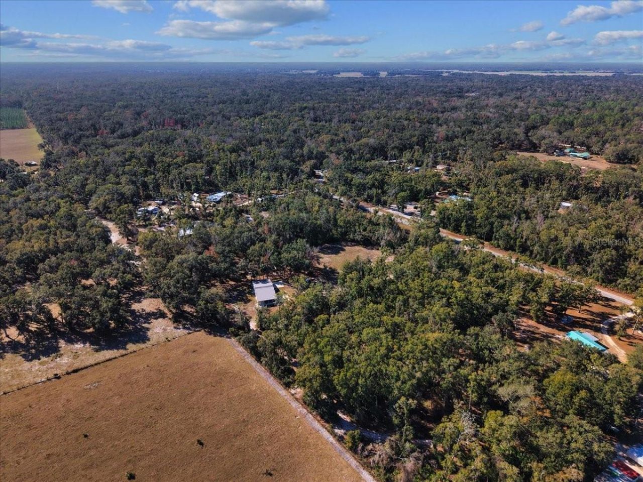 347 NE 544th Street, Old Town, FL 32680 Photo