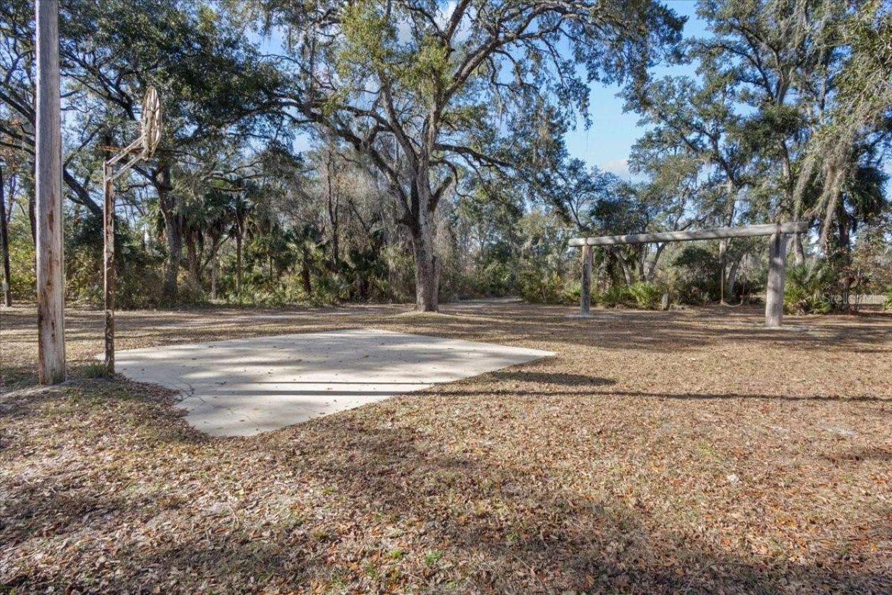 347 NE 544th Street, Old Town, FL 32680 Photo