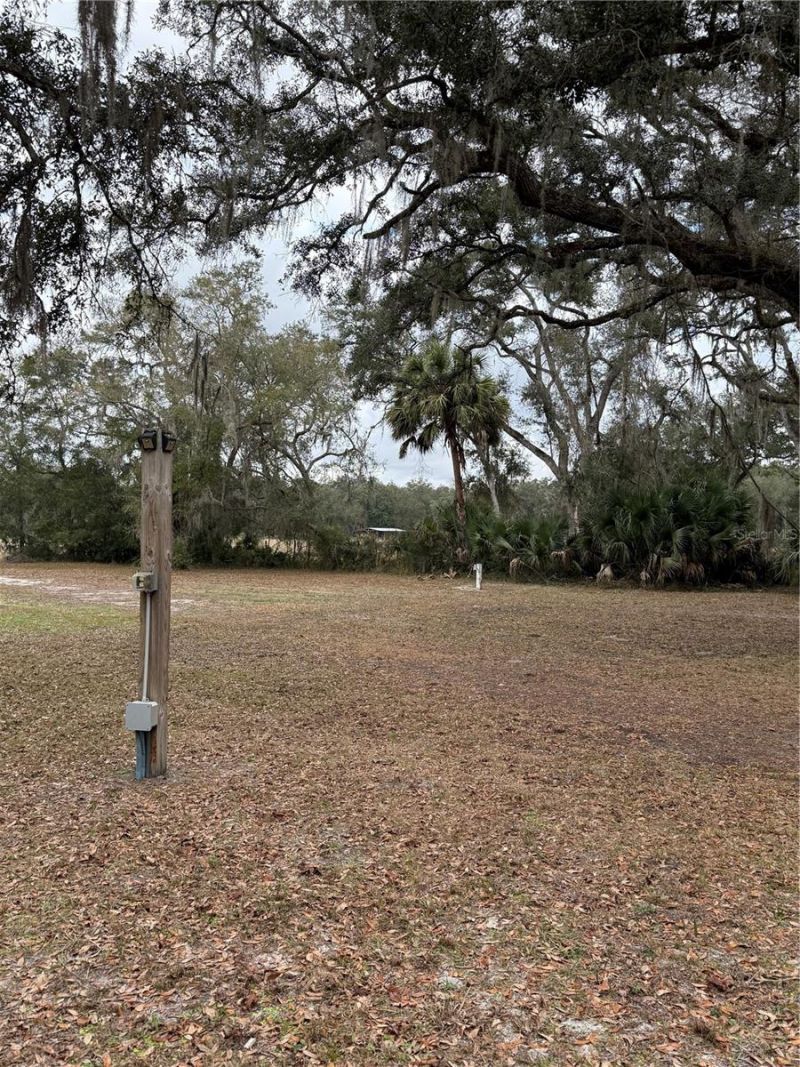 347 NE 544th Street, Old Town, FL 32680 Photo