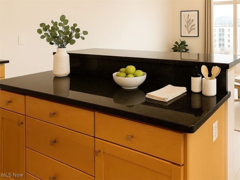 2222 Detroit Avenue, Unit 810, Cleveland, OH 44113 Photo 7