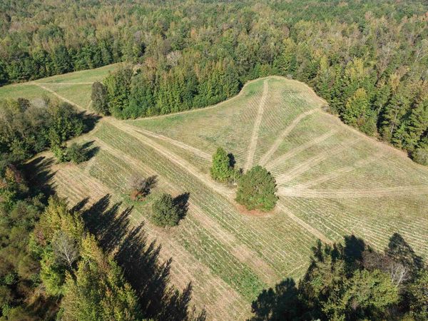 000 BURGESS LOOP RD, Middleton, TN 38052