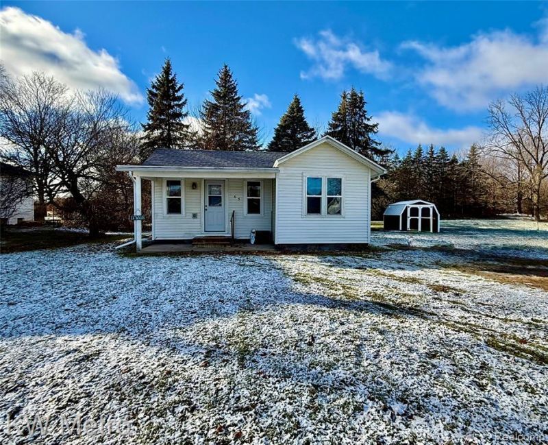 563 N Ovid Street, Elsie Vlg, MI 48831 Main Photo