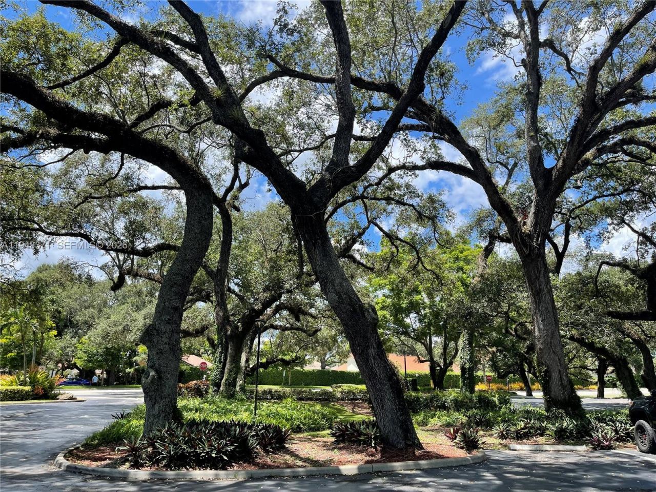 1831 Sabal Palm Dr , Unit 403, Davie, FL 33324 Photo