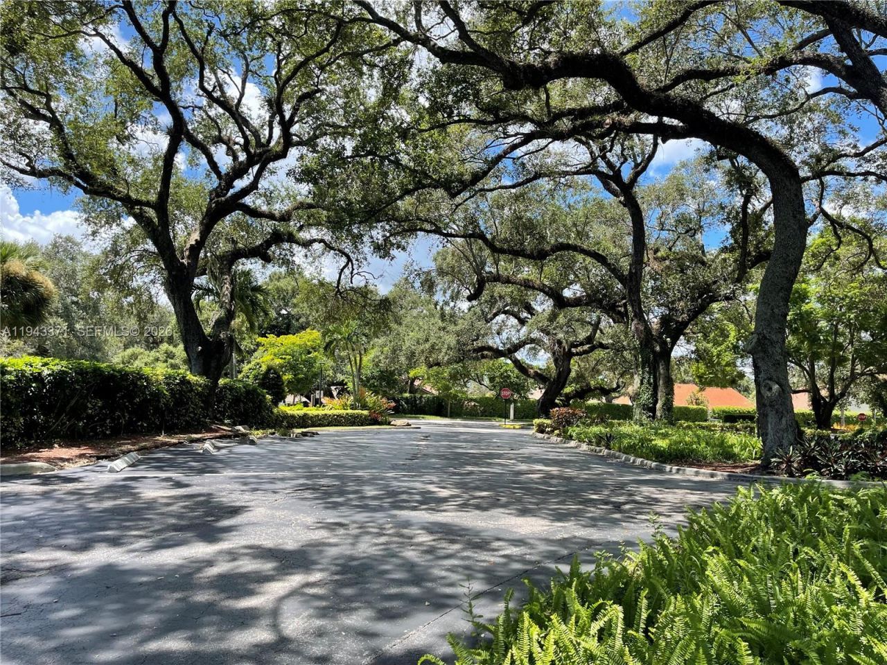 1831 Sabal Palm Dr , Unit 403, Davie, FL 33324 Photo