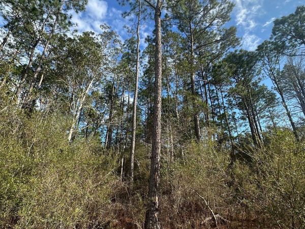 5033 Douglas Ferry Road , Caryville, FL 32427