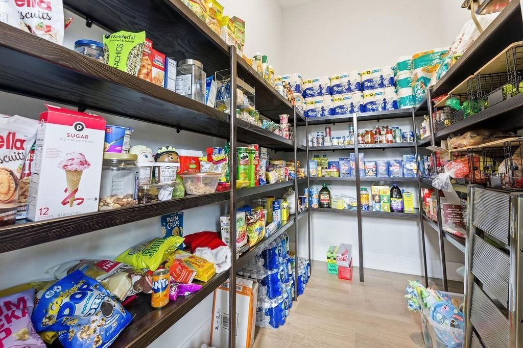 15820 Pendio Drive, Montverde, FL 34756 Photo