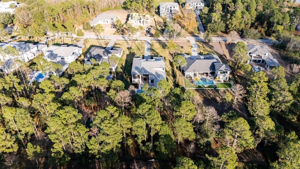 15820 Pendio Drive, Montverde, FL 34756 Photo