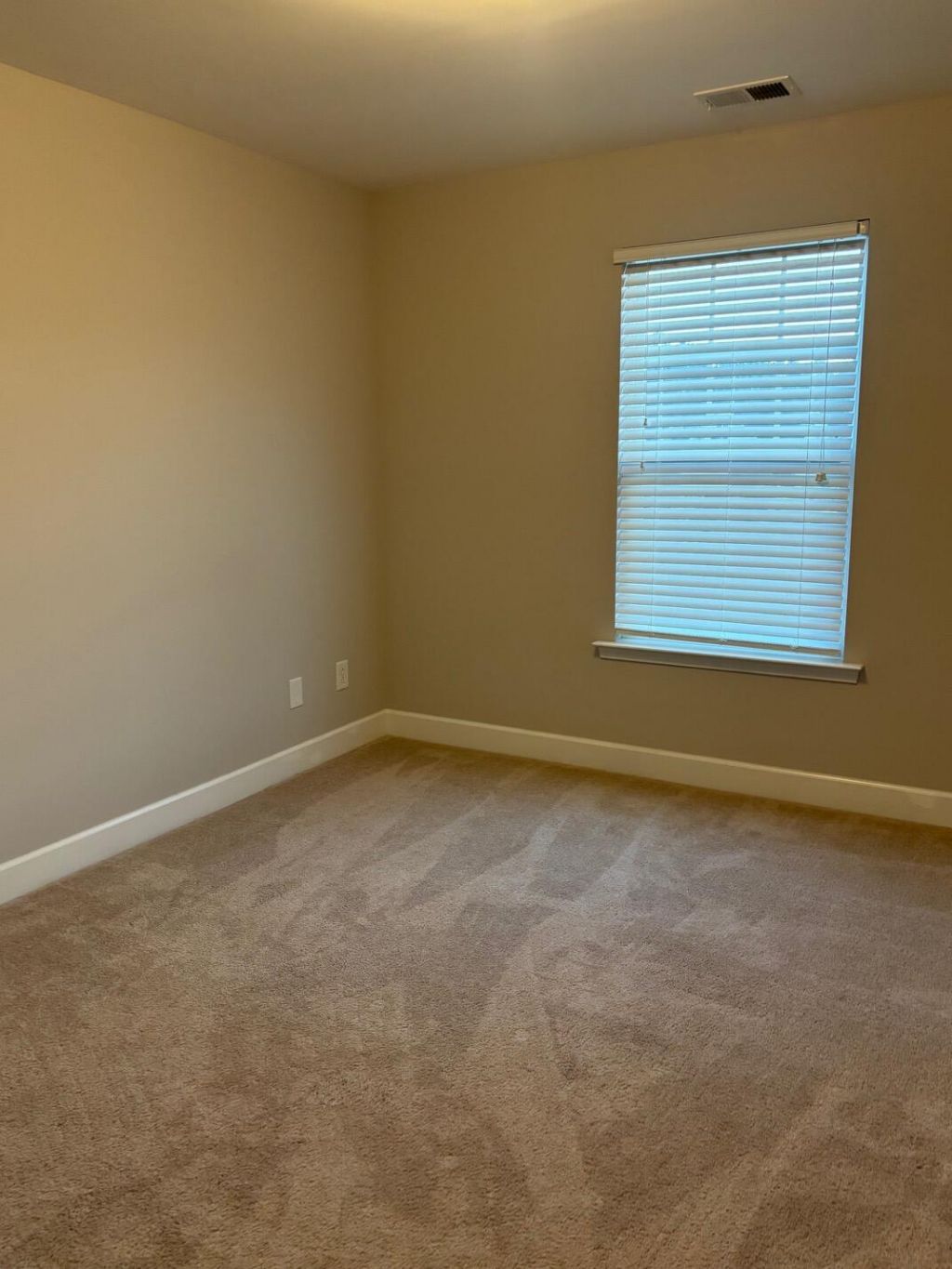 322 Bracken Fern Road Photo 29