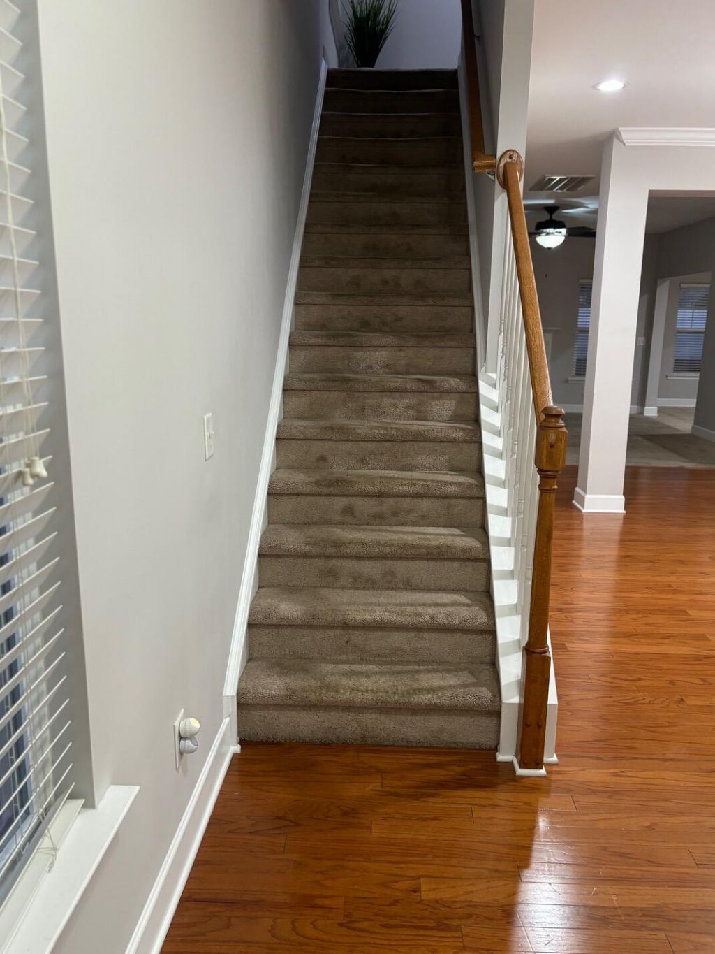 322 Bracken Fern Road Photo 4