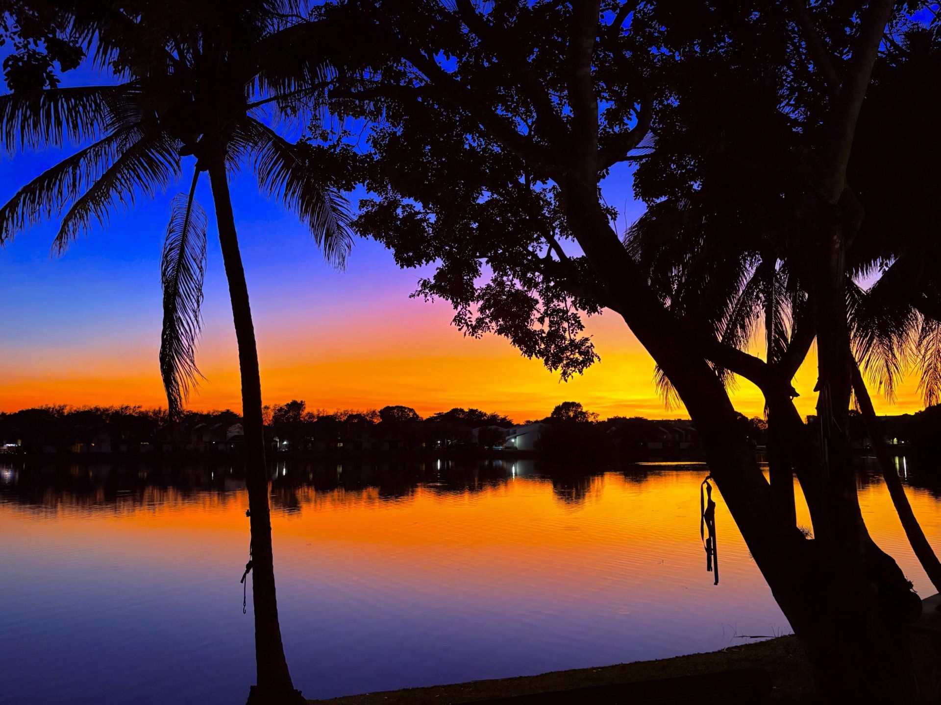 1424 NW 97th Terrace, Unit 280, Hollywood, FL 33024 Photo