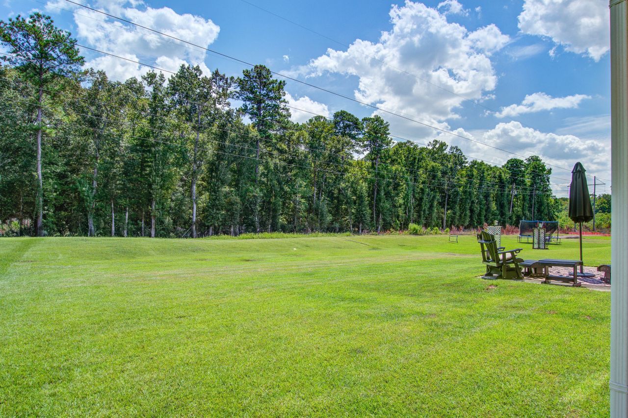 1969 Wild Indigo Way Photo 39