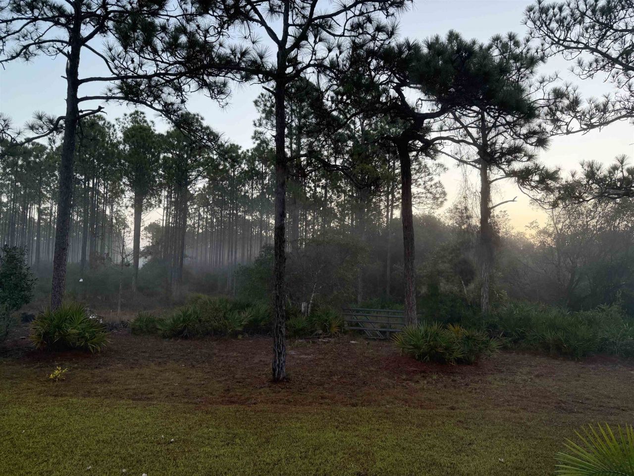 332 Royal Tern Court, Carrabelle, FL 32322 Photo