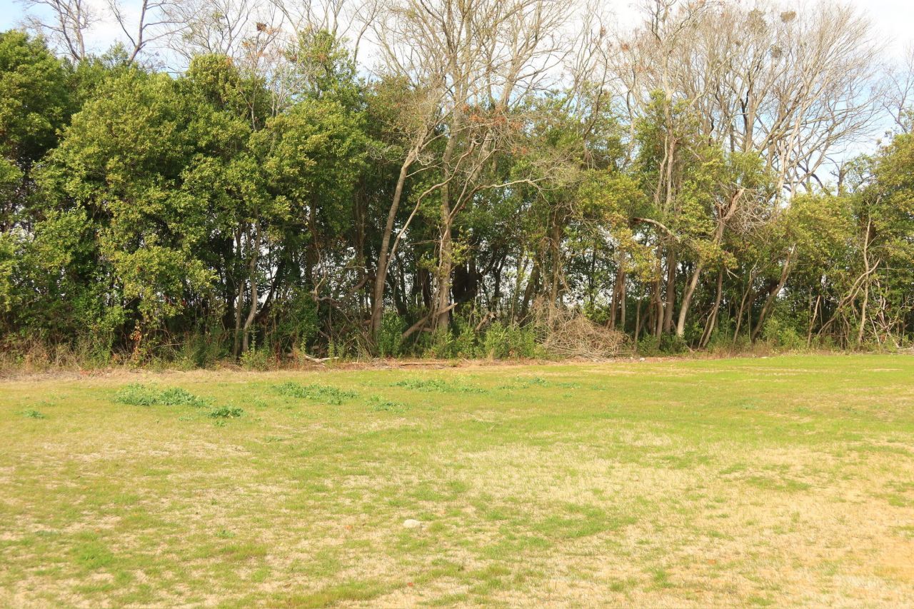 190 Avocada Drive Drive Photo 16