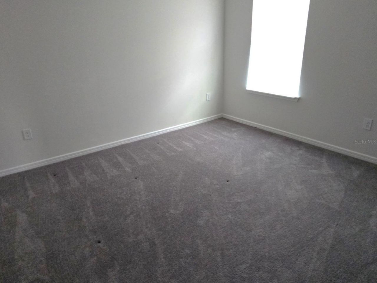 36851 Highland Meadows Court, Zephyrhills, FL 33542 Photo