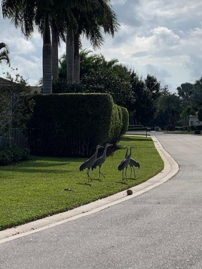 8216 Cypress Point Road, West Palm Beach, FL 33412 Photo