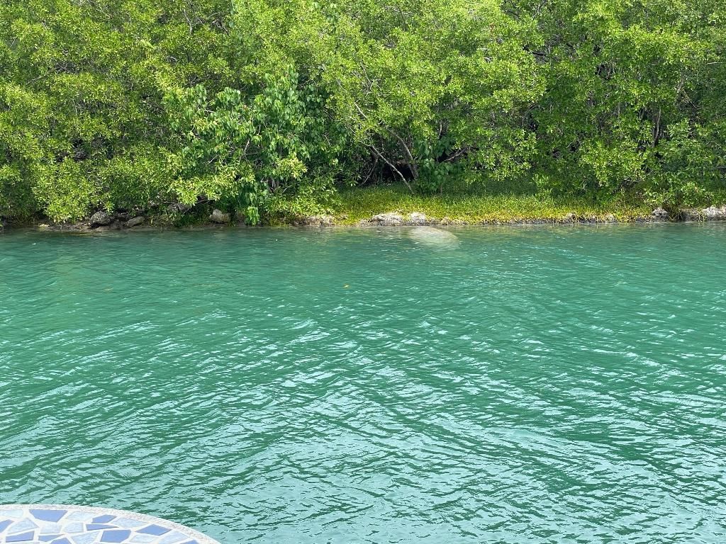 7204 Gulf Of Mexico Boulevard, Unit 204, Marathon, FL 33050 Photo