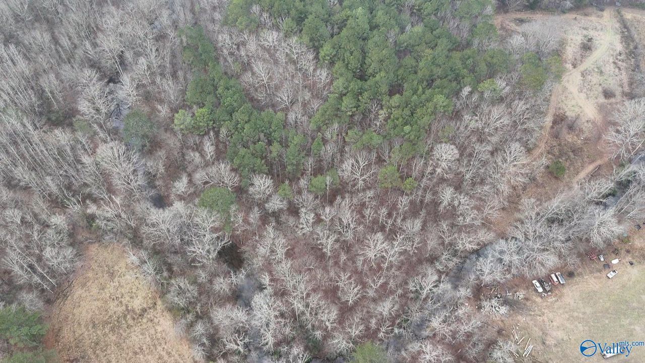 1 Sugarland Lake Resort, Oneonta, AL 35121 Main Photo