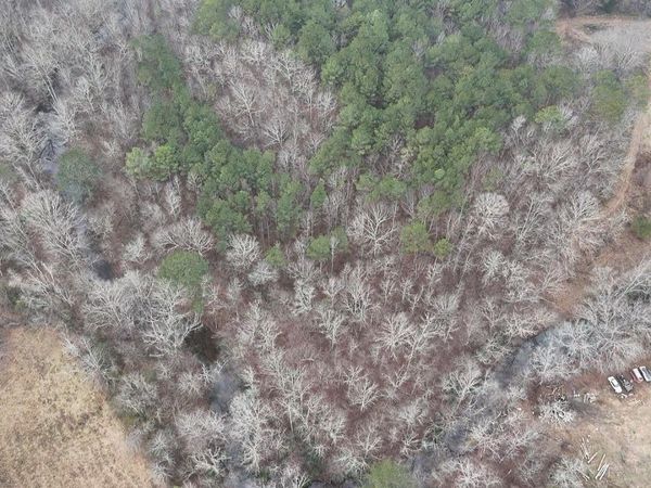 1 Sugarland Lake Resort, Oneonta, AL 35121