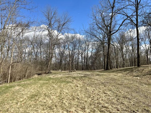 Lot 5 Thirty Foot Trail Road, Oglesby, IL 61348