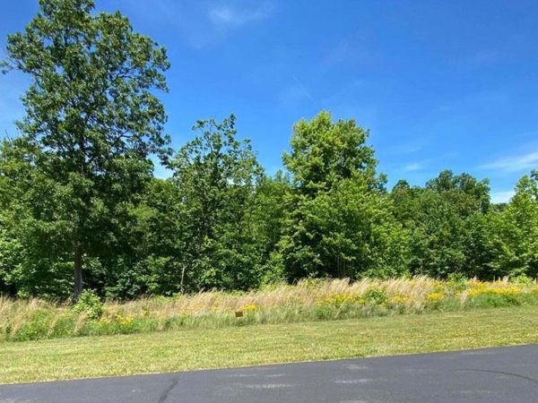 0 Water View Drive , Rockwood, TN 37854