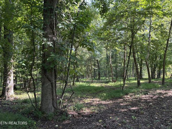 371 Walking Horse Tr, Unit 510, Rockwood, TN 37854