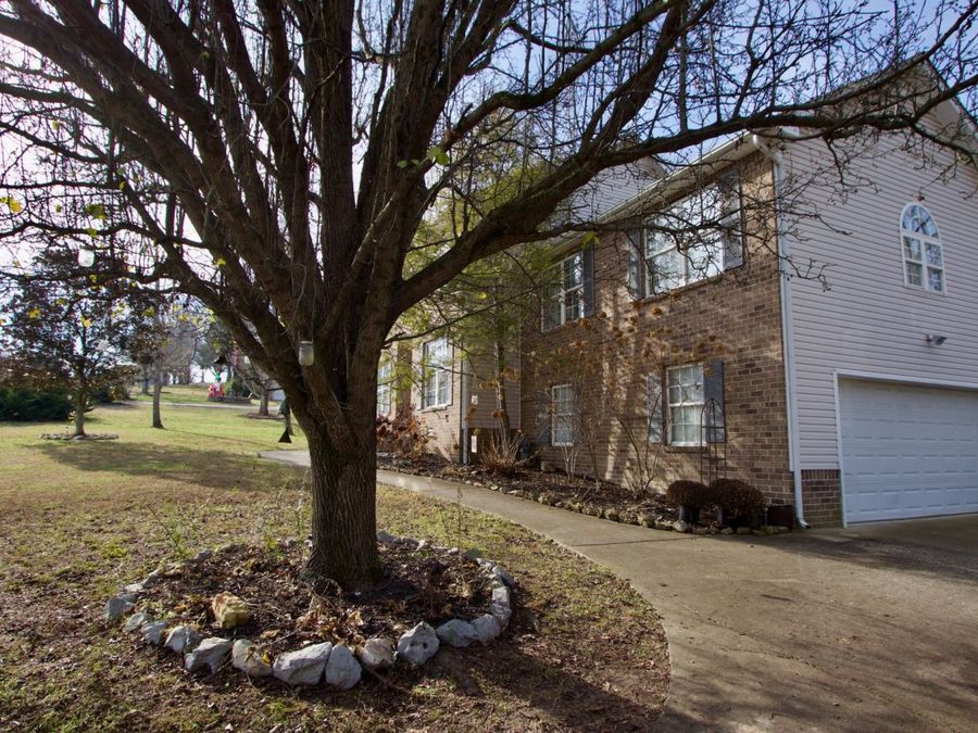 Property Image 33