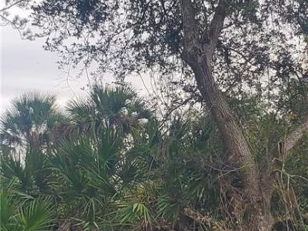 315 IVANHOE AVE Banyan Village, LABELLE, FL 33935