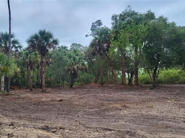 315 IVANHOE AVE Banyan Village, LABELLE, FL 33935