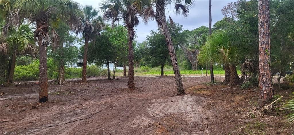 315 Ivanhoe Ave Banyan Village, Labelle, FL 33935 Photo