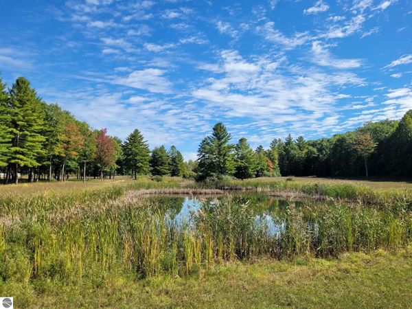 M-55 W, Wellston, MI 49689