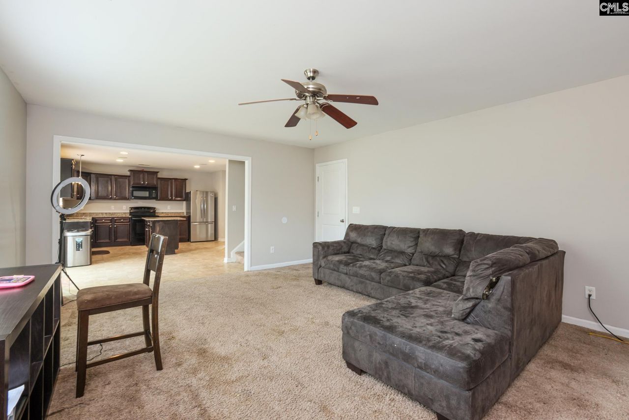 518 Colony Lakes Drive Photo 17