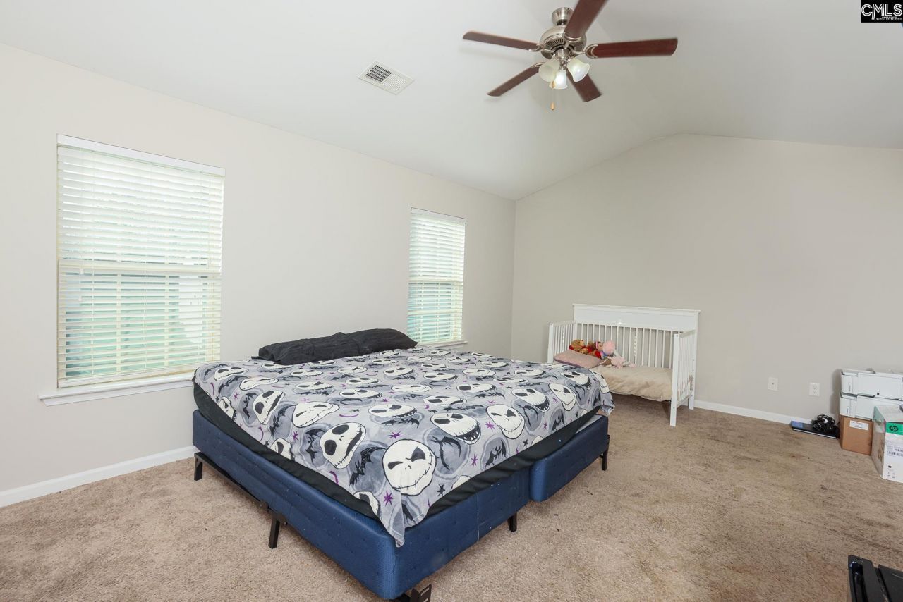 518 Colony Lakes Drive Photo 21