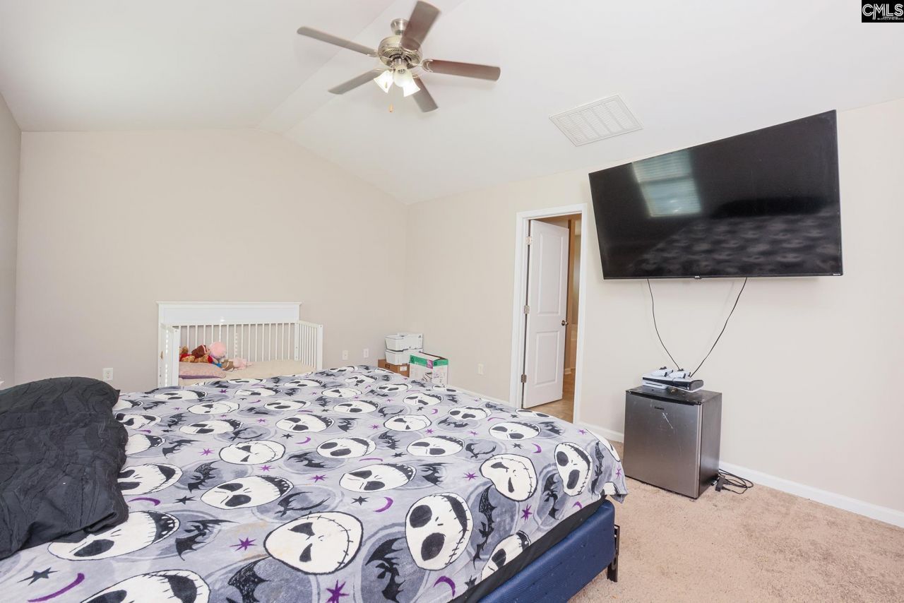 518 Colony Lakes Drive Photo 22